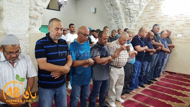 7ozaifa yaman (2).jpg